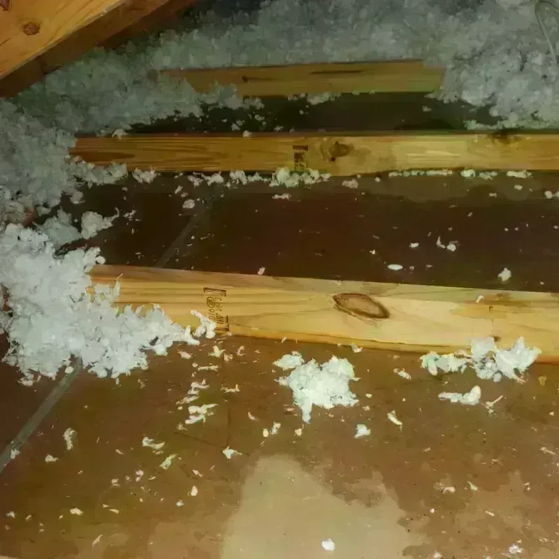 Attic Water Damage in Iredell County, NC