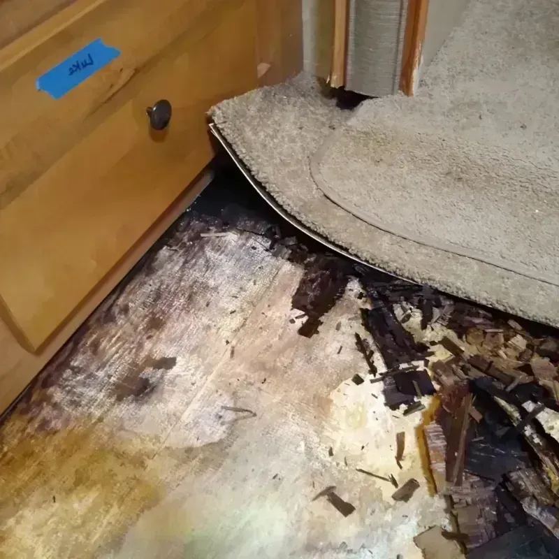 Best Wood Floor Water Damage Service in Iredell County, NC